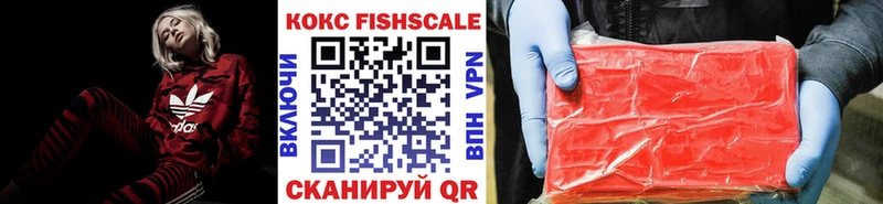 omg tor  площадка наркотические препараты  Чайковский  Cocaine Fish Scale  цена наркотик 