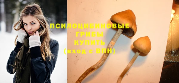 прущая мука Кукмор