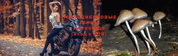 MDMA Premium VHQ Кулебаки