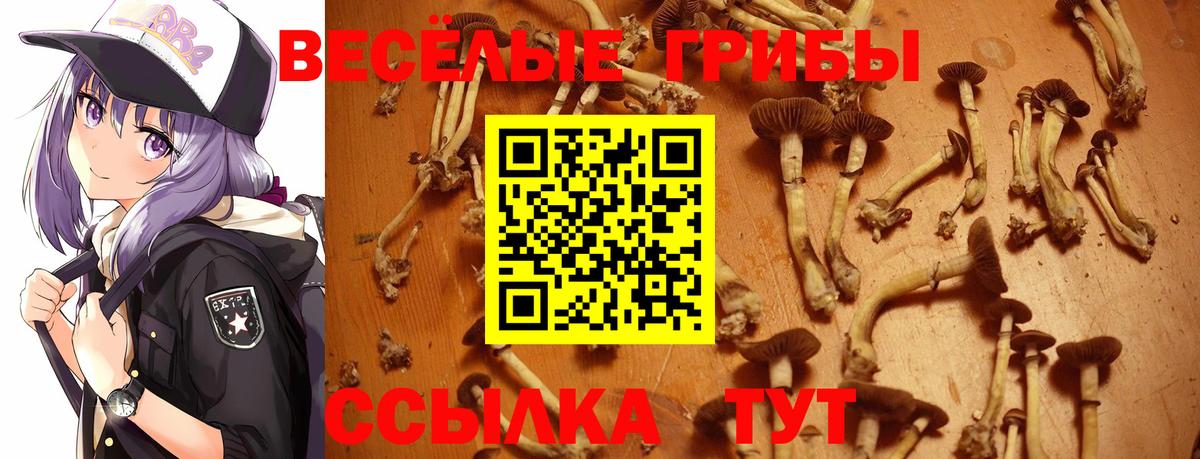 Чайковский  Галлюциногенные грибы Cubensis  купить закладку  Галлюциногенные грибы мухоморы  Вход с VPN 