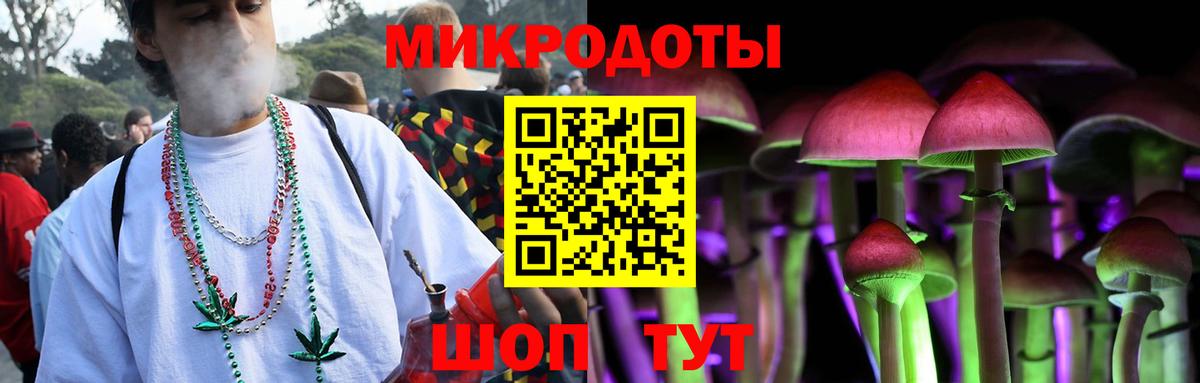 Галлюциногенные грибы мицелий Чайковский