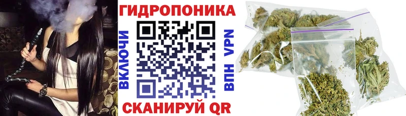 цена   omg tor  Конопля индика  Чайковский 